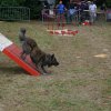 foire-haricots 2011-09-17et18